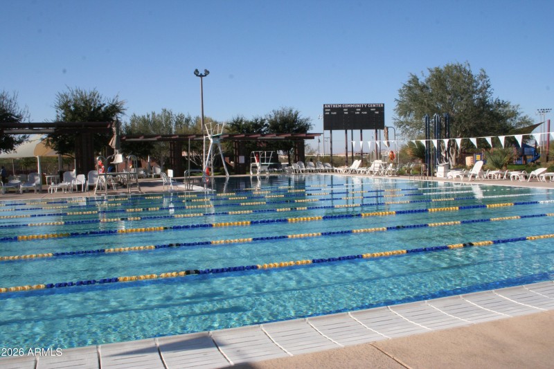 Community lap pool