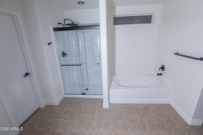 Master Shower and tub