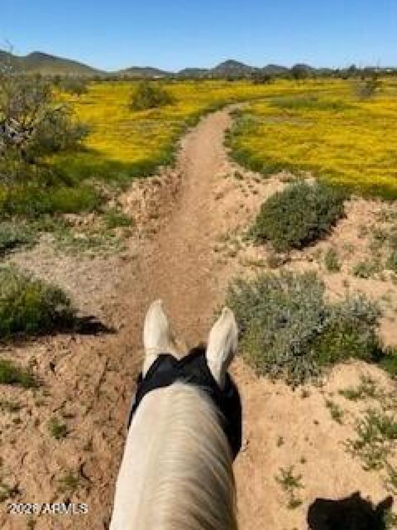 State Land in Desert Hills