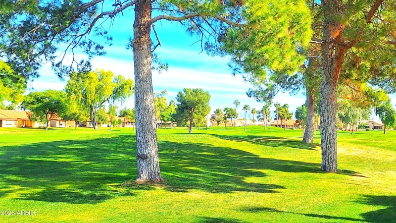 20260128_120455.jpg1