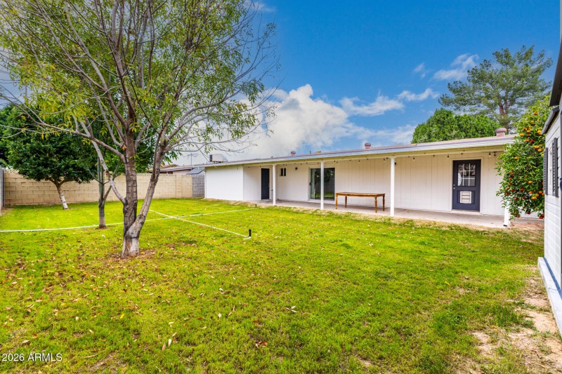 Plenty of Lush Grass