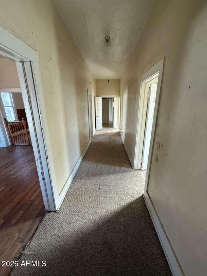 WhatsApp Image 2026-02-03 at 9.01.02 AM