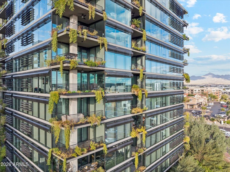 33-DJI_20260217151525_0096_D