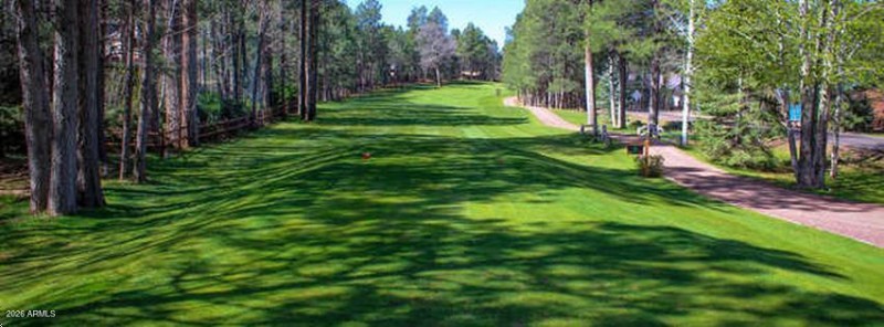 21 Pinetop Lakes Public Golf course