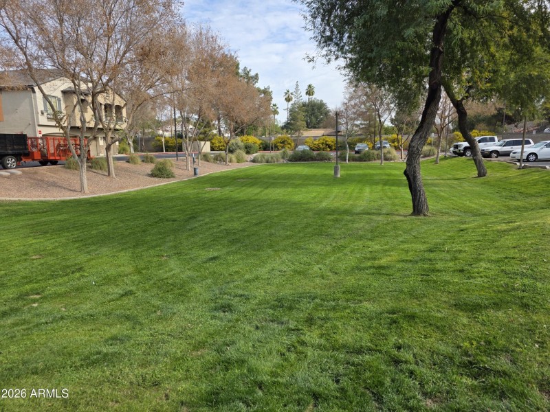 20260202_130646-scaled