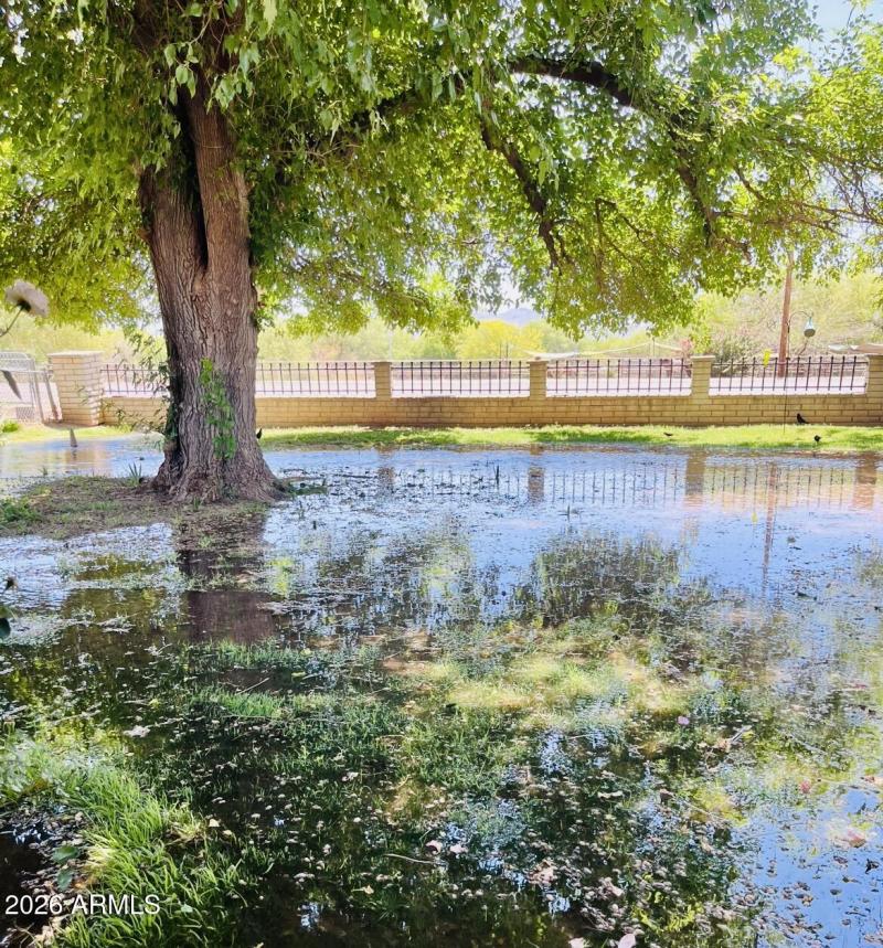 Front Yard Irrigation*