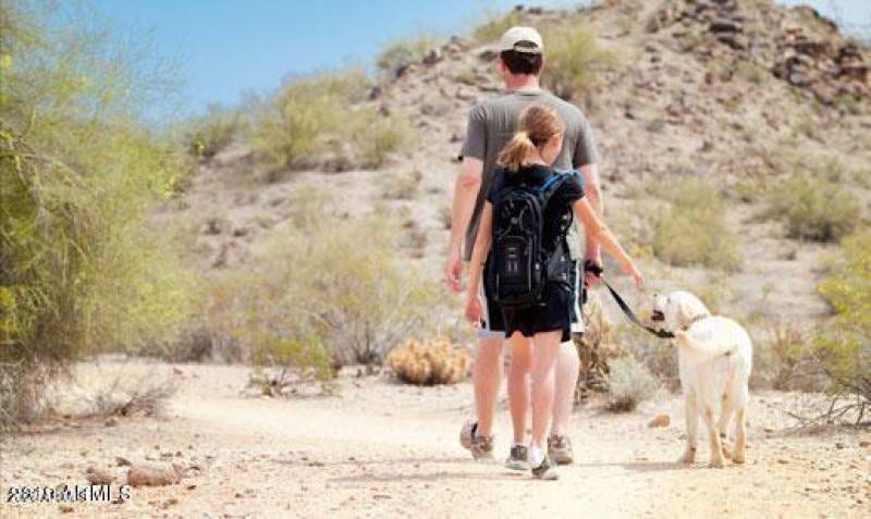 20190808230120157225000000-o