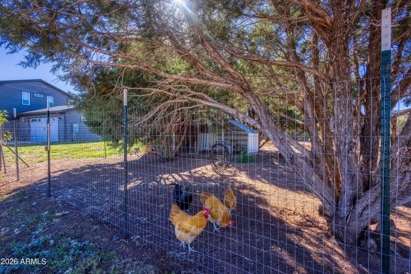 052_photo28_1898_rocky_lane_linden_az_jo