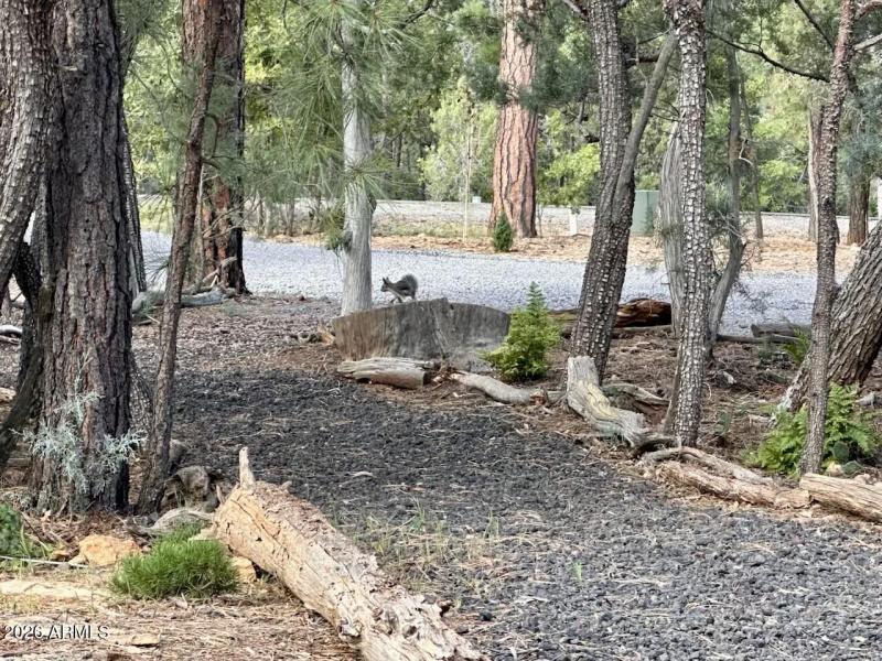 57E2FD2D-65FE-4DCC-8676-A99C167A0B3C