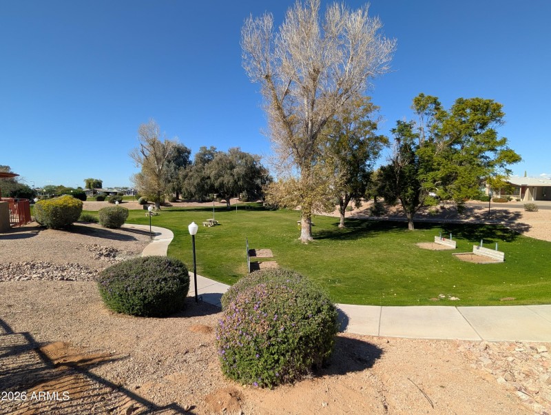 PXL_20260214_190606087