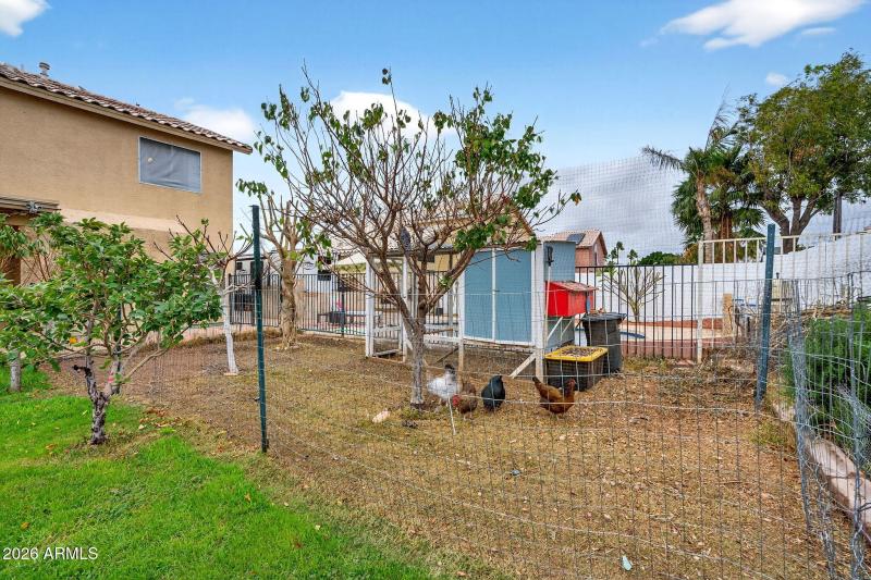 73-web-or-mls-80W Lone Cactus Dr