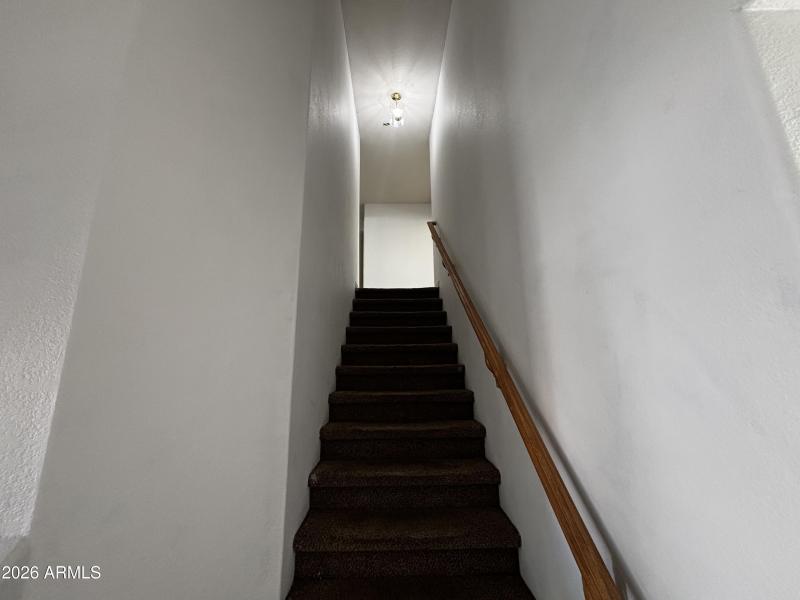 Photo Feb 19 2026, 12 38 32 PM