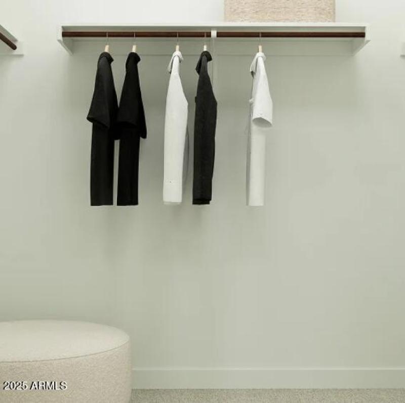 Owners Walk in Closet