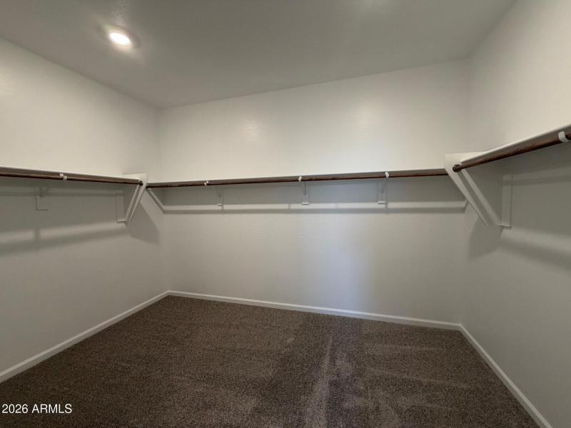 Owners Walk in Closet