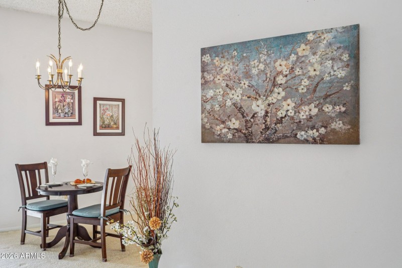 15-web-or-mls-W Ocotillo Dr-S1902-015