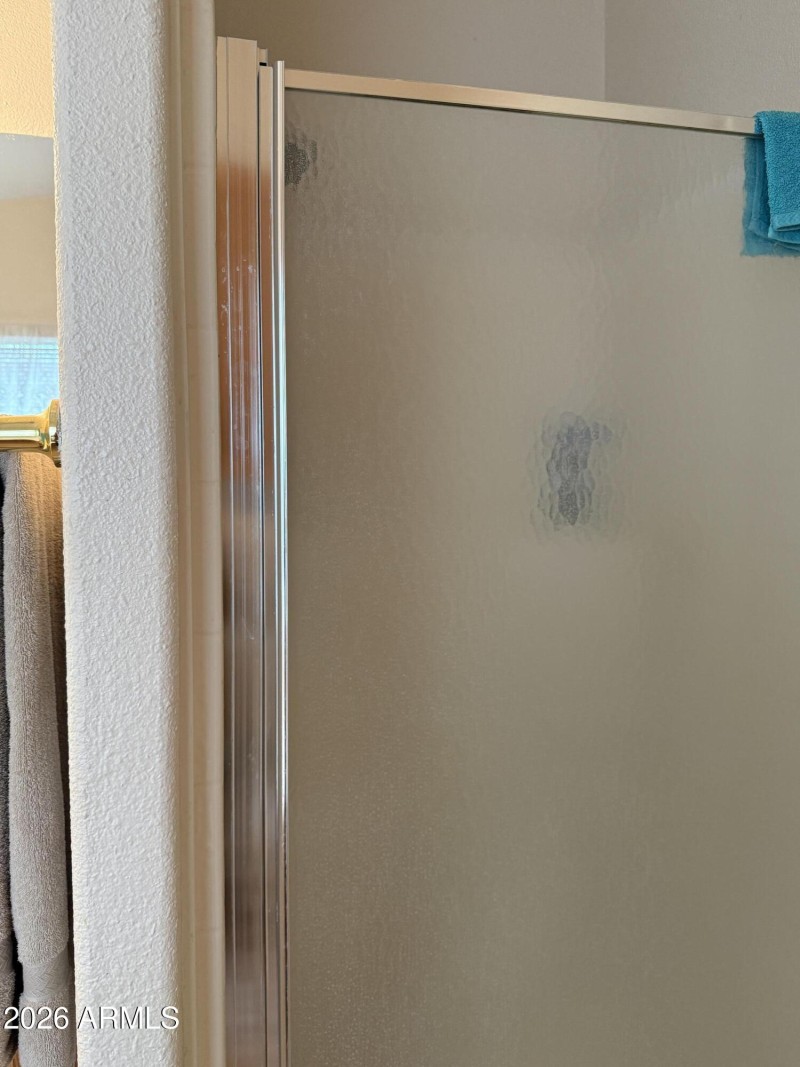 Mstr walk in Shower too