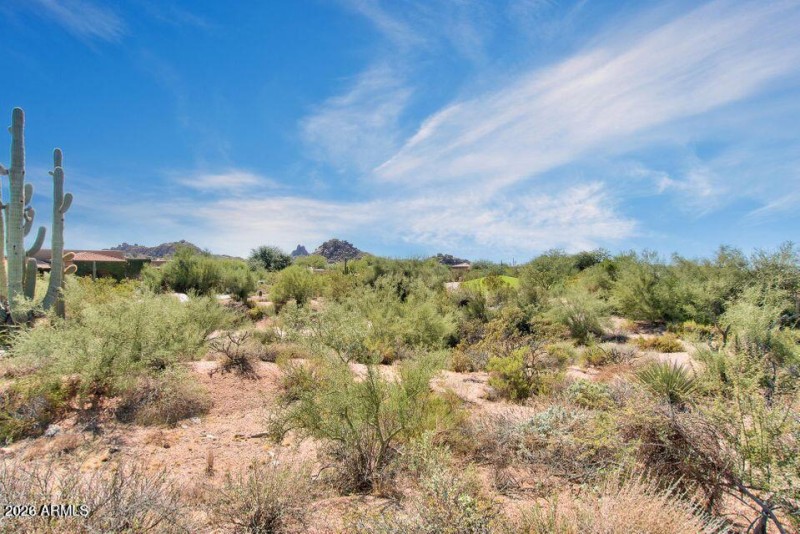 Surrounding Desert Views
