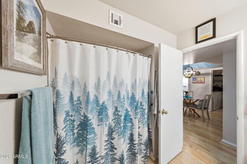 Secondary Bathroom 2