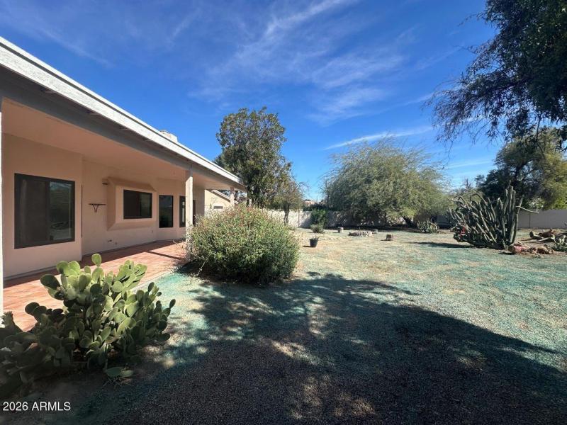 15 W Buena Vista (82)