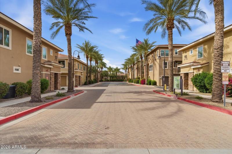 Beautiful Palm lined streets
