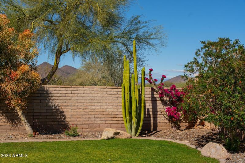 Mountain Views from Patio