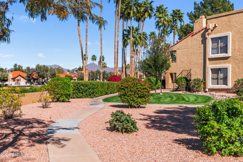 Mountain Views from sidewalk