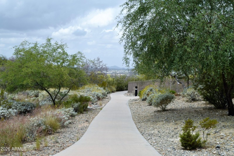 40. Cimarron Hill Walking Trails