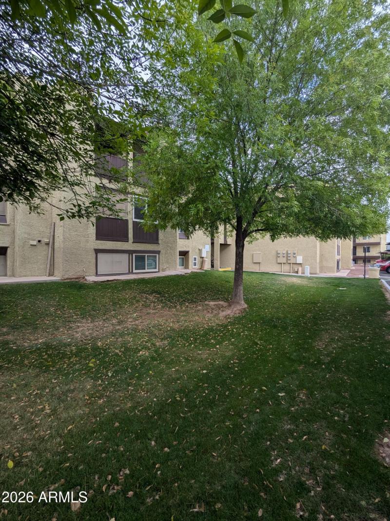 Plenty of grass around your home.