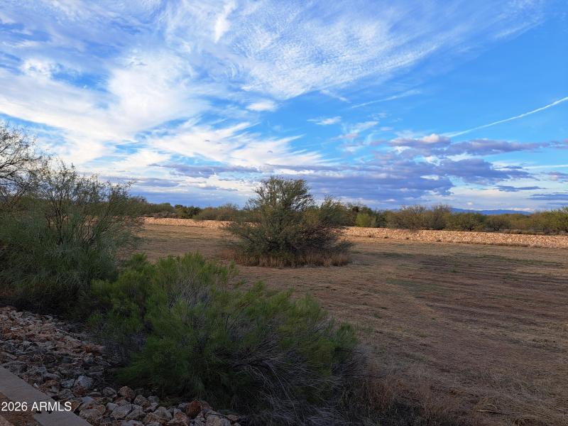 City lights at night