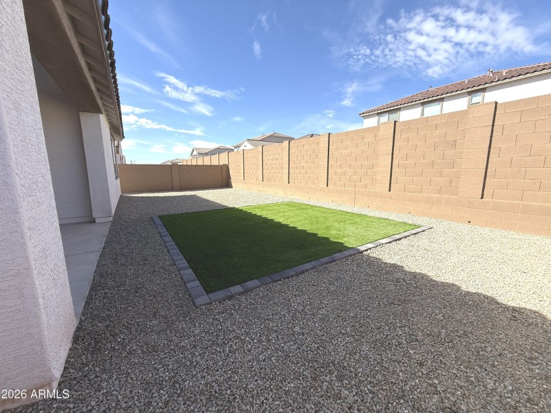 Gray Fox Back Yard 3