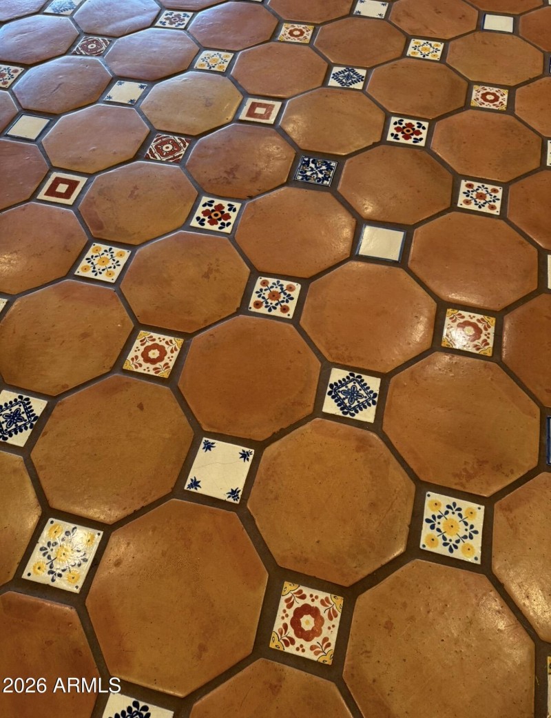 SATILLO TILE AND HAND PAINTED INSERTS