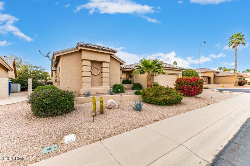 Low maintenance landscape