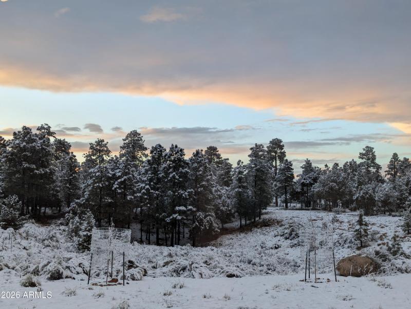 PXL_20240314_012522903