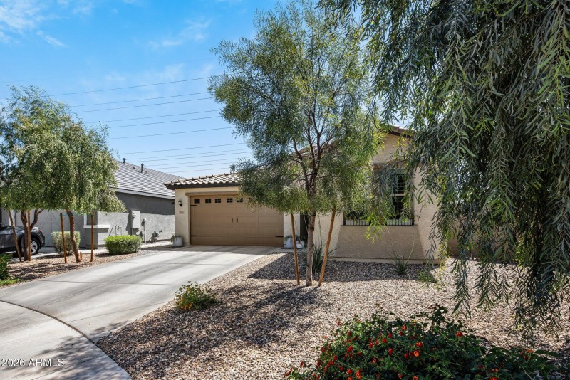 21-web-or-mls-D46A0609