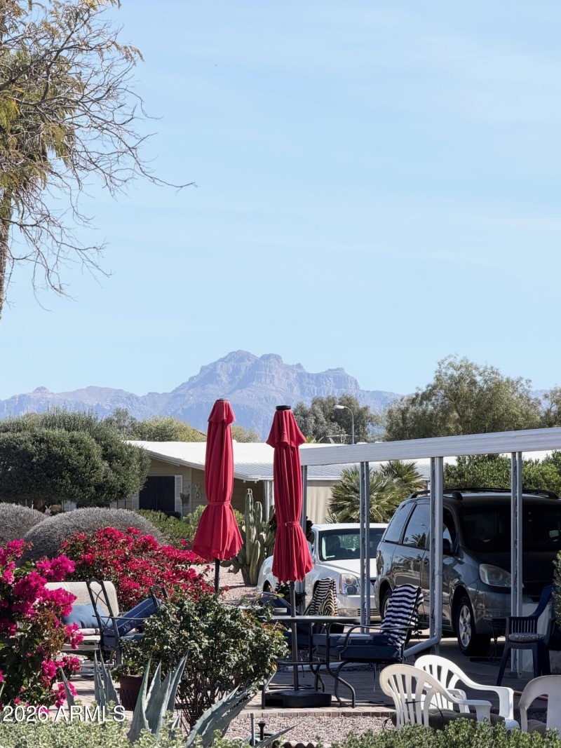 Backyard Mountain View