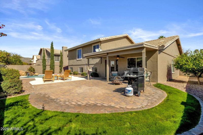 Grassy Space for the pups