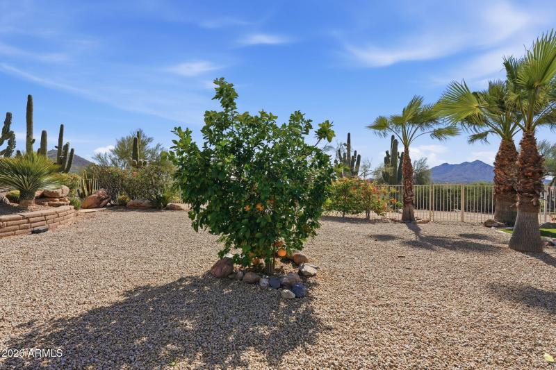 6601 E Willow Springs Ln N