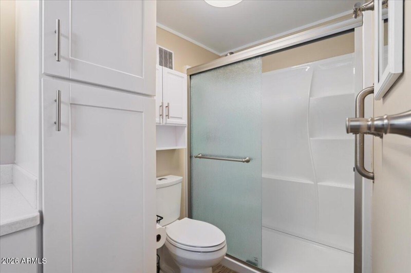 Mother in law suite bathroom