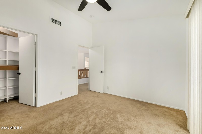 29 - Agave 02-24-2026