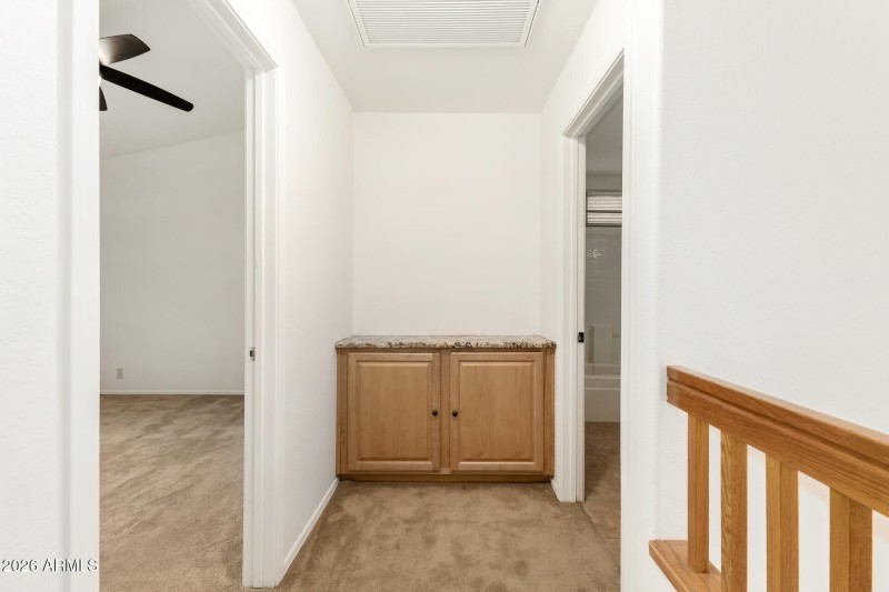 33 - Agave 02-24-2026