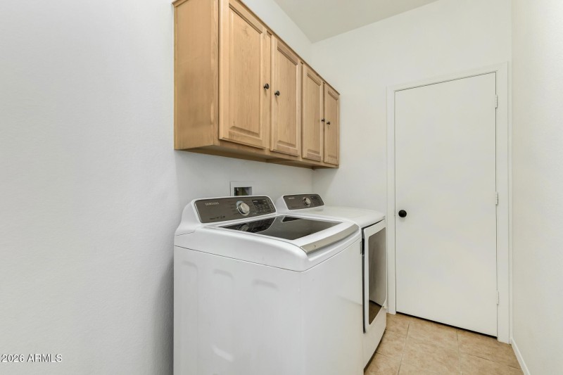 37 - Agave 02-24-2026