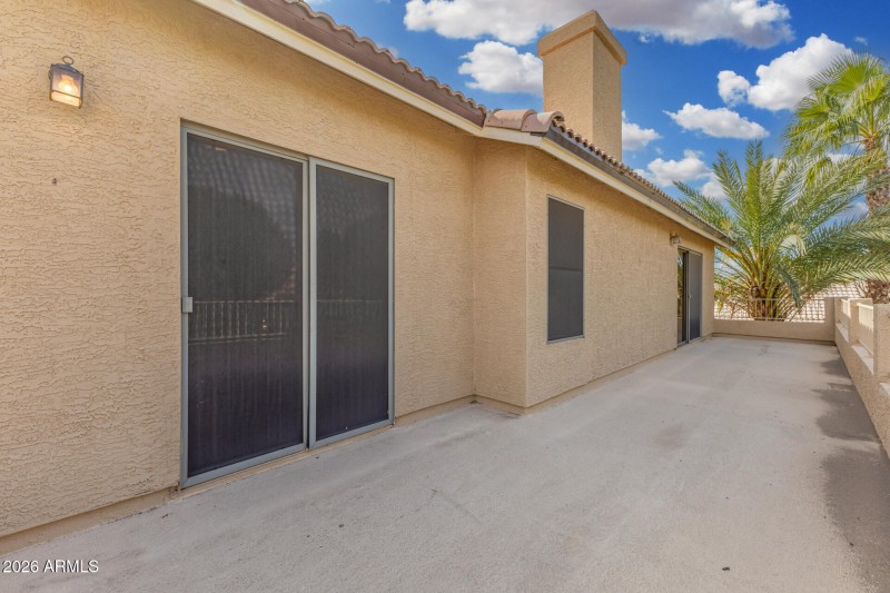 41 - Agave 02-24-2026