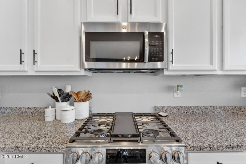 14-web-or-mls-24W Dragon Tree Ave