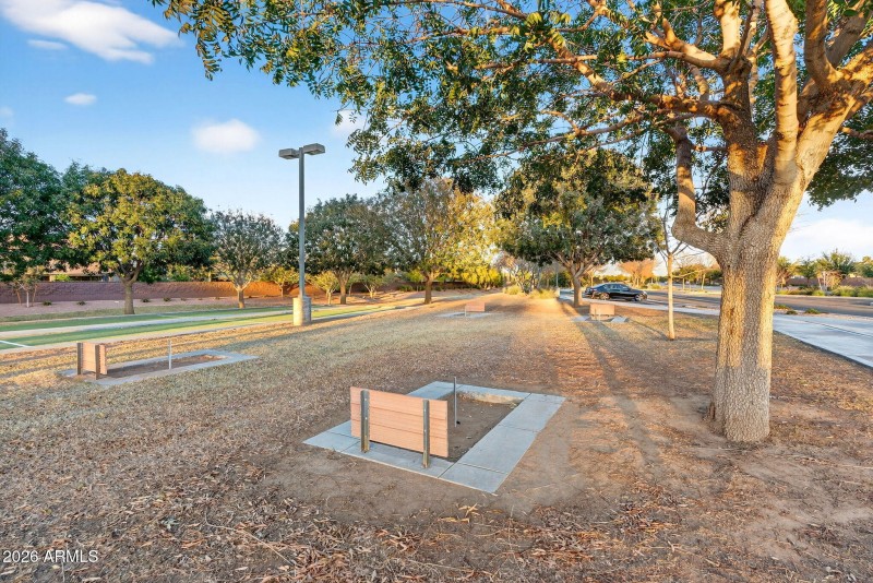 65-web-or-mls-67W Dragon Tree Ave