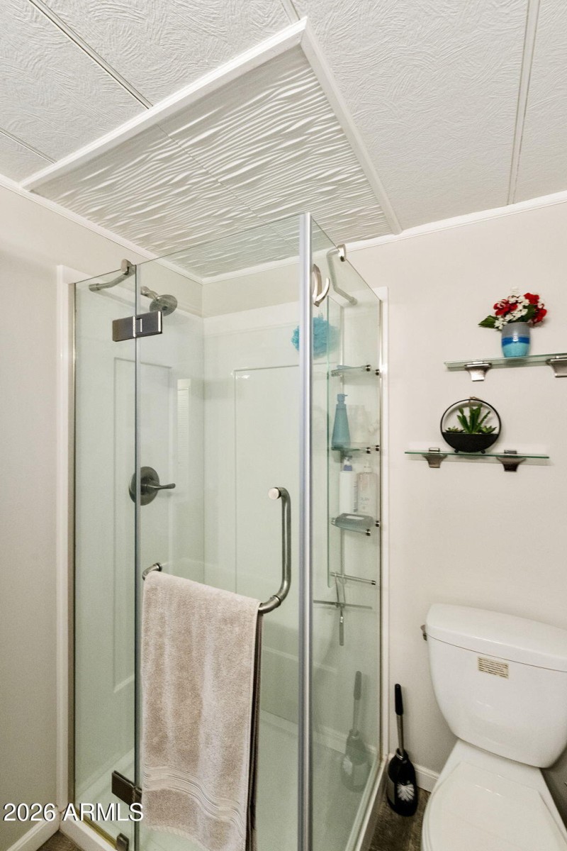 Primary Walk-In Shower