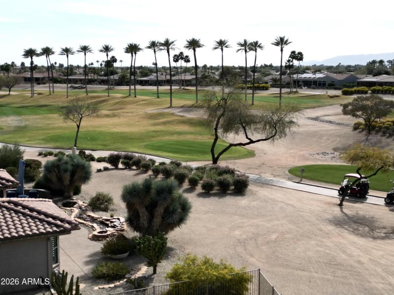 Views From the Rear 2