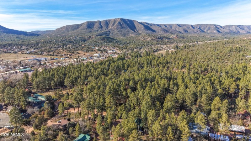 mls-DJI_20260224162205_0261_D copy 2