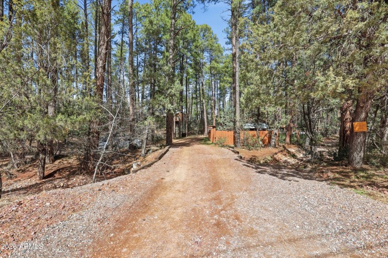 mls-robin_way_048 copy