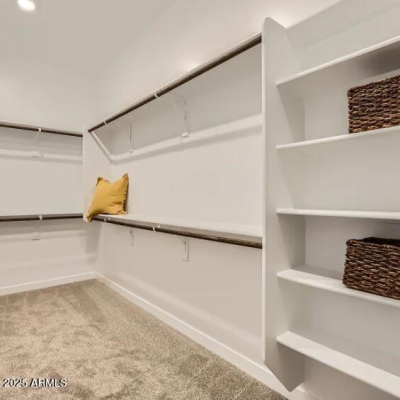 Owners Walk in Closet