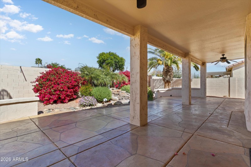 Beautiful Backyard View from Patio Door